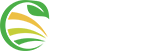 grupomijam.com